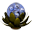 Lotto Sorcerer version 8 icon