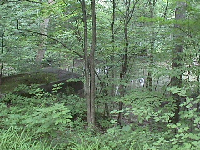 View of the Little Calumet River from the Lodge